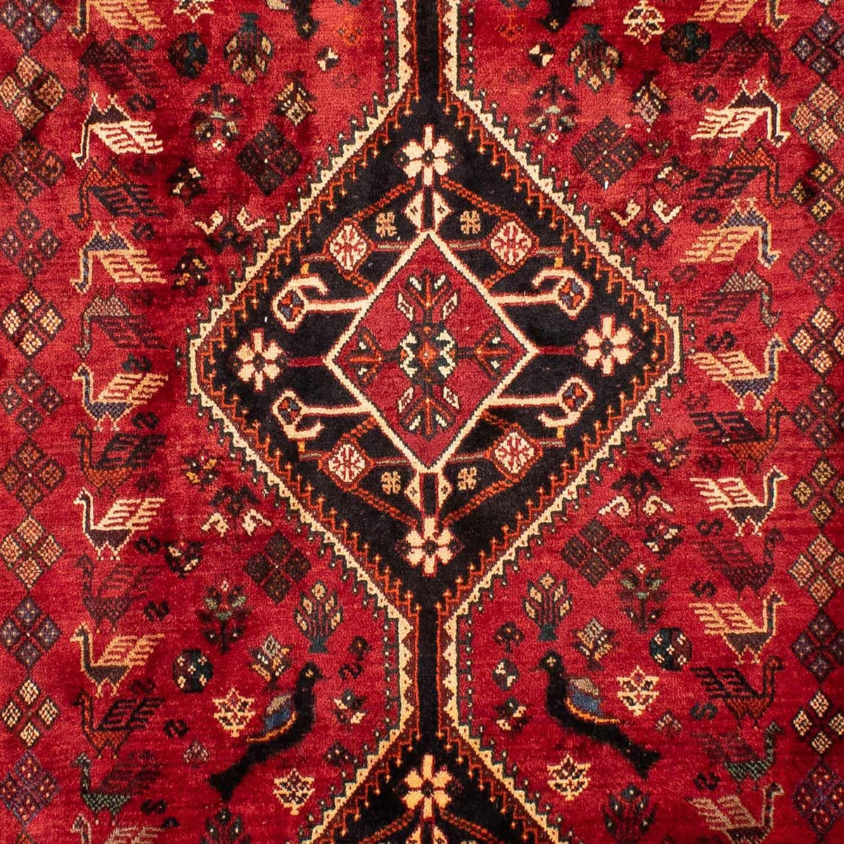 Tapis persan - Nomadic - 330 x 228 cm - rouge