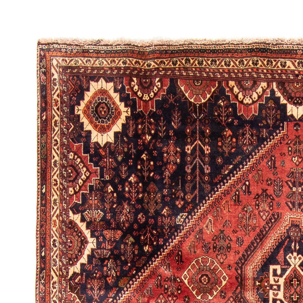 Qashqai Tapis 221x330cm - Tapis persan