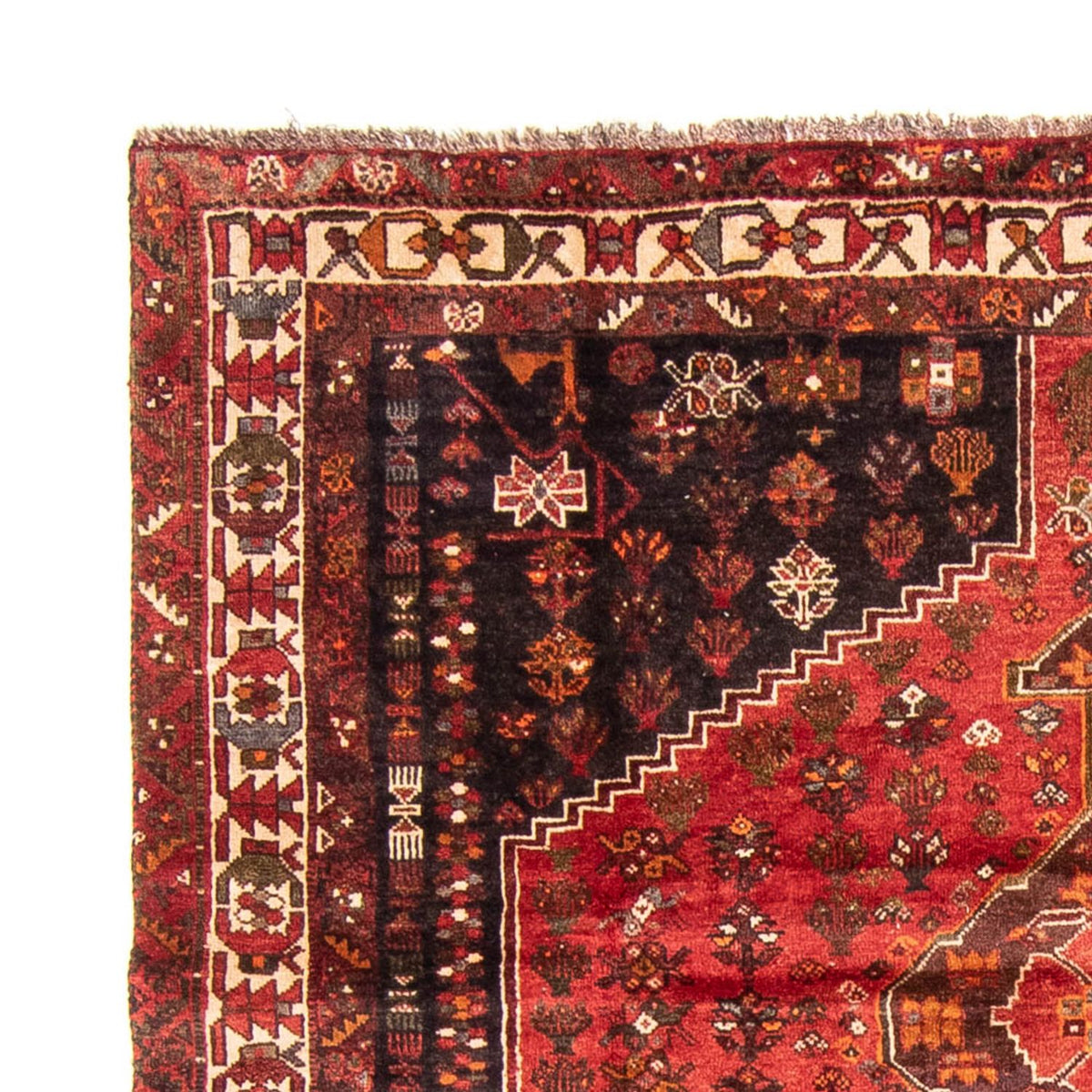 Tapis persan - Nomadic - 310 x 225 cm - rouge foncé