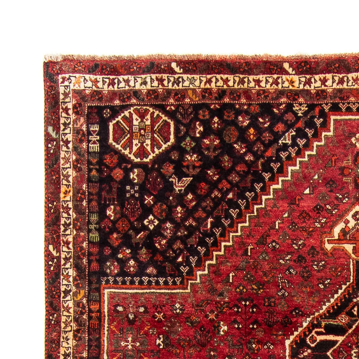 Tapis persan - Nomadic - 325 x 230 cm - rouge foncé