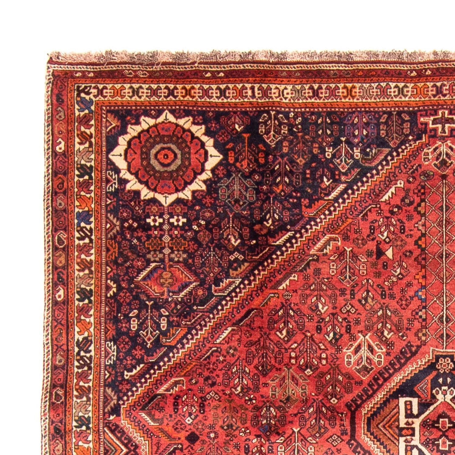 Tapis persan - Nomadic - 315 x 220 cm - rouge foncé