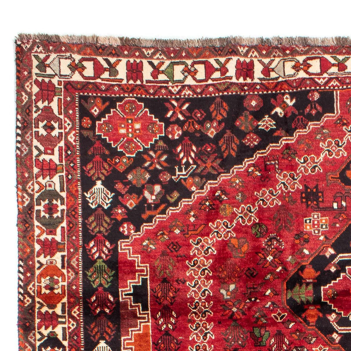 Tapis persan - Nomadic - 320 x 230 cm - rouge foncé