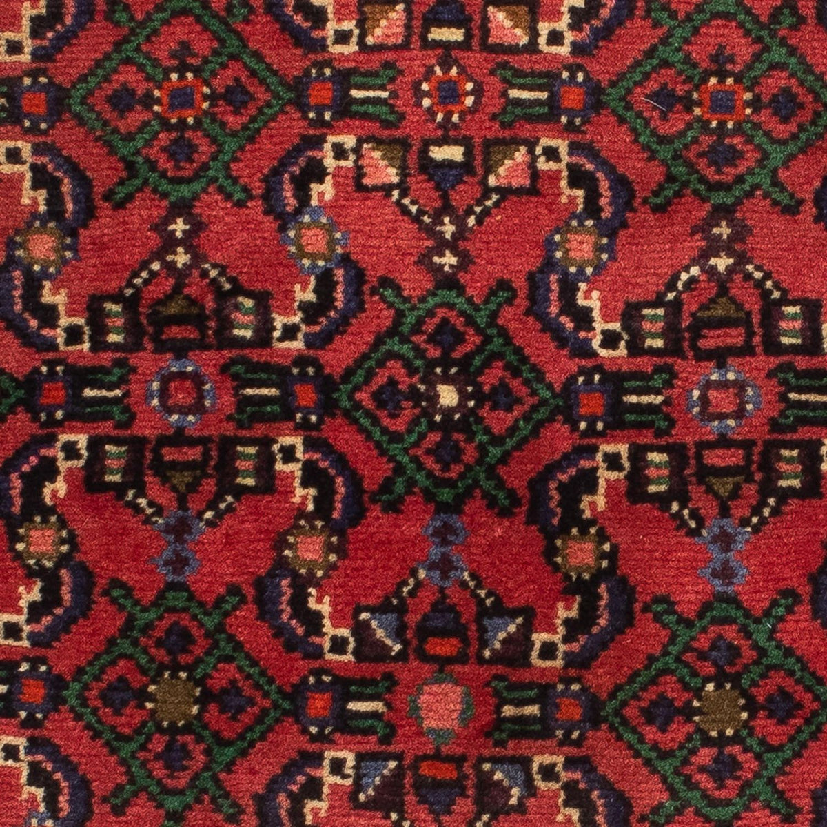 Tapis de couloir Tapis persan - Nomadic - 200 x 76 cm - rouge foncé