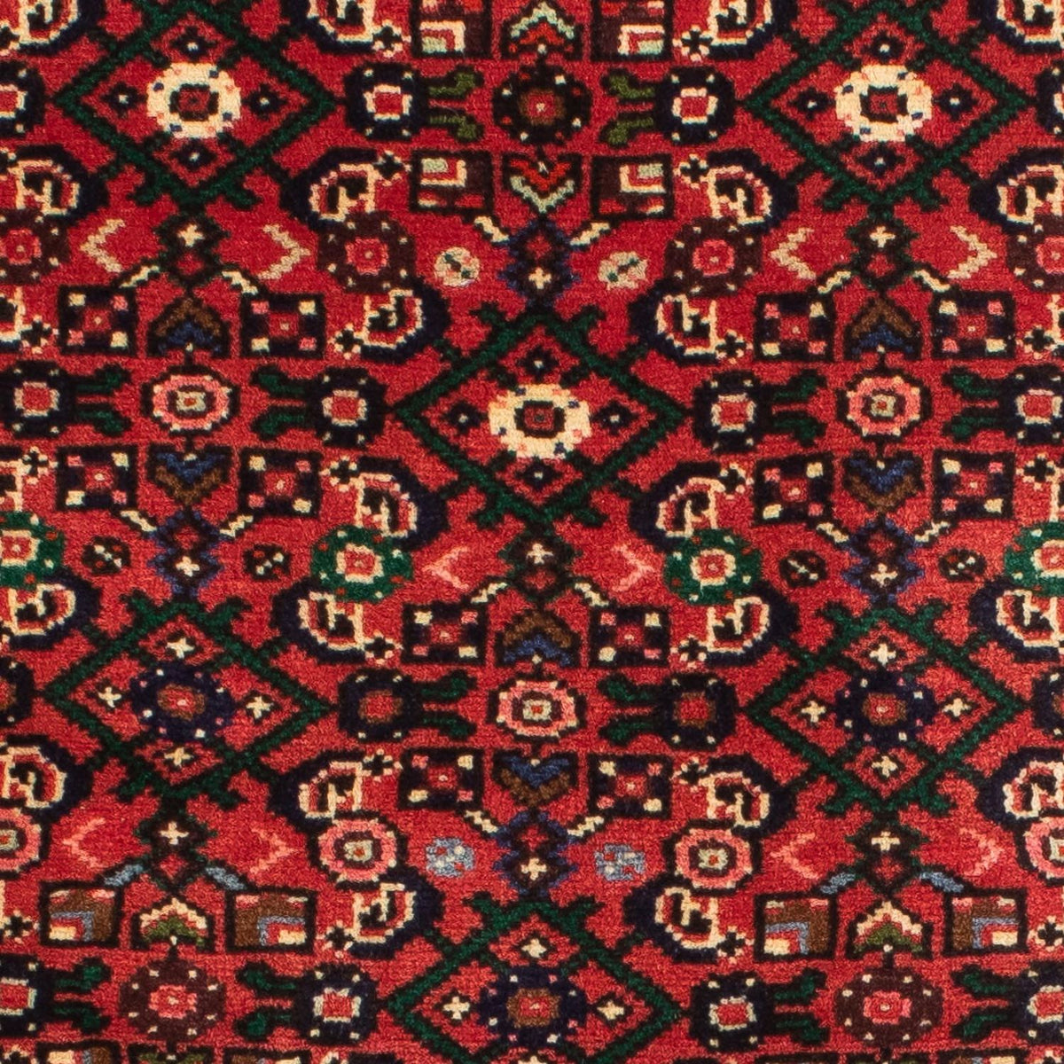 Tapis de couloir Tapis persan - Nomadic - 205 x 75 cm - rouge foncé