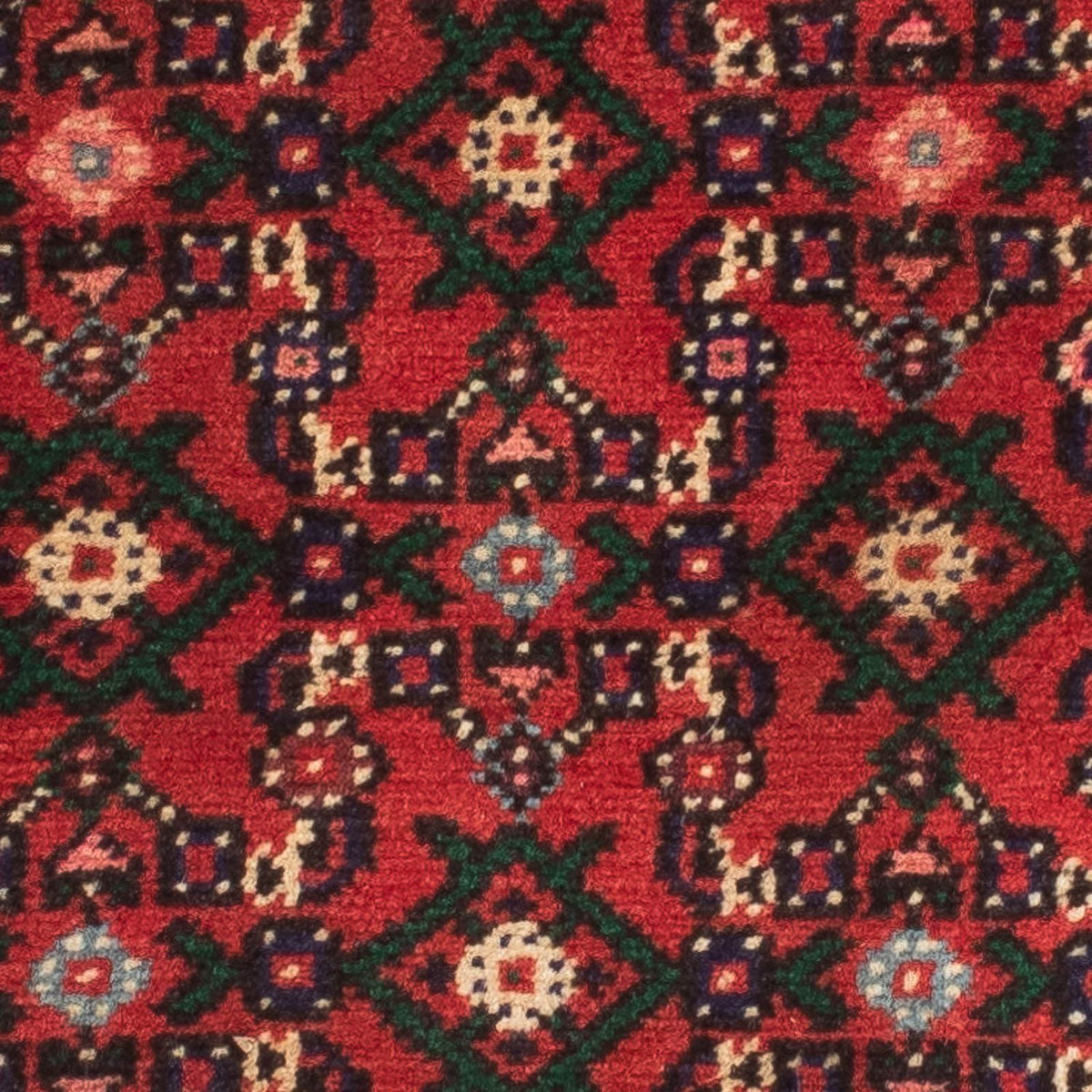 Tapis de couloir Tapis persan - Nomadic - 196 x 70 cm - rouge foncé