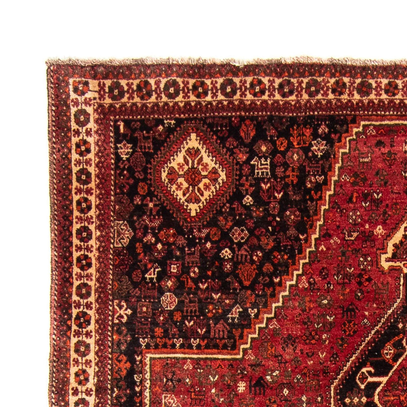 Qashqai Tapis 320x230cm - Tapis persan