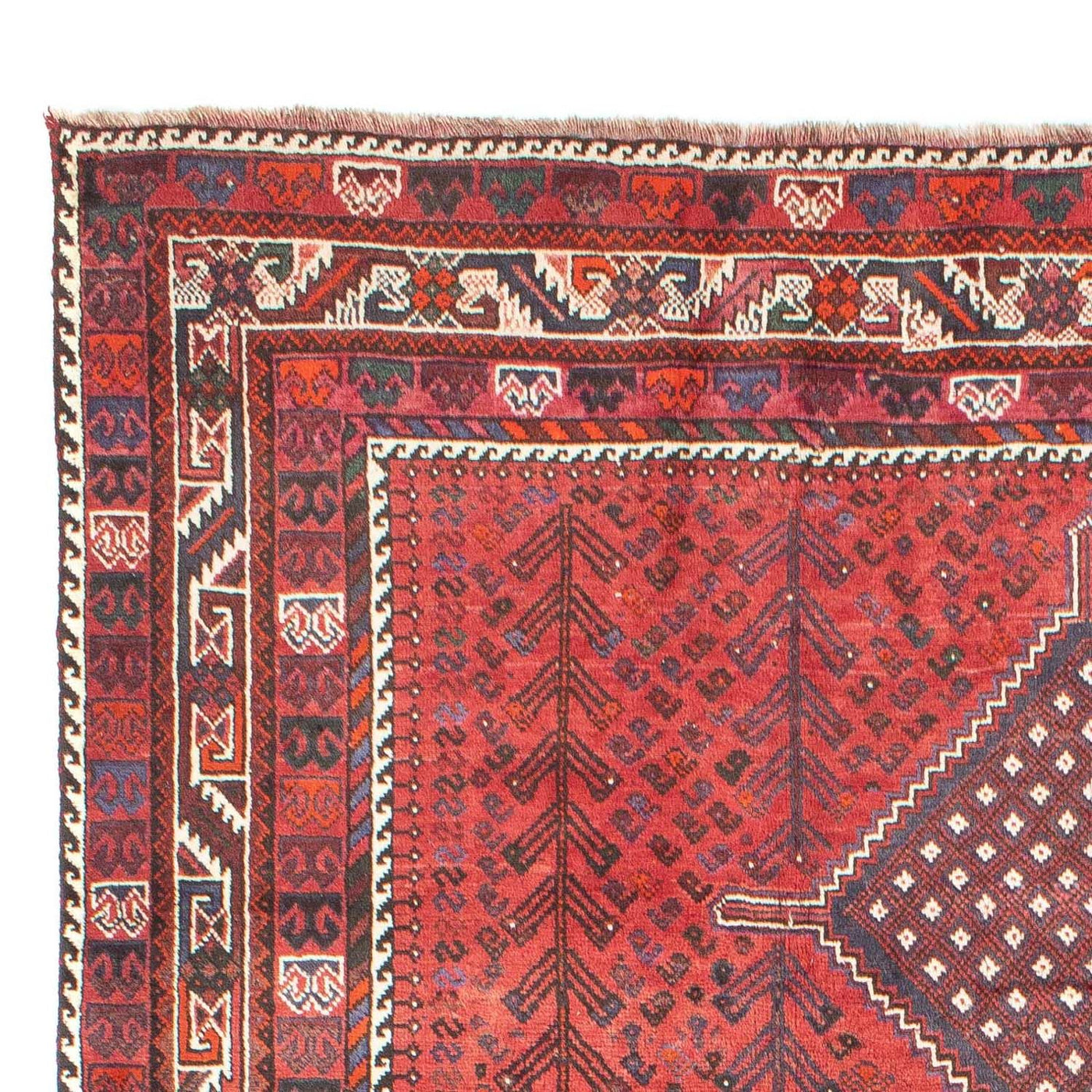 Tapis de Chiraz Tapis 310x215cm - Tapis persan