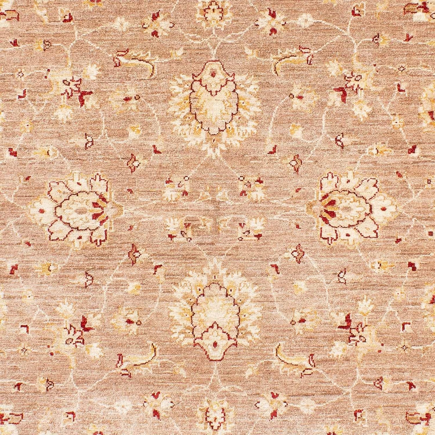 Tapis Ziegler - 245 x 171 cm - beige