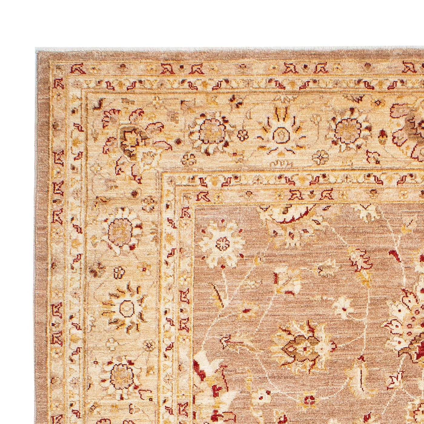 Tapis Ziegler 245x171cm - Tapis persan