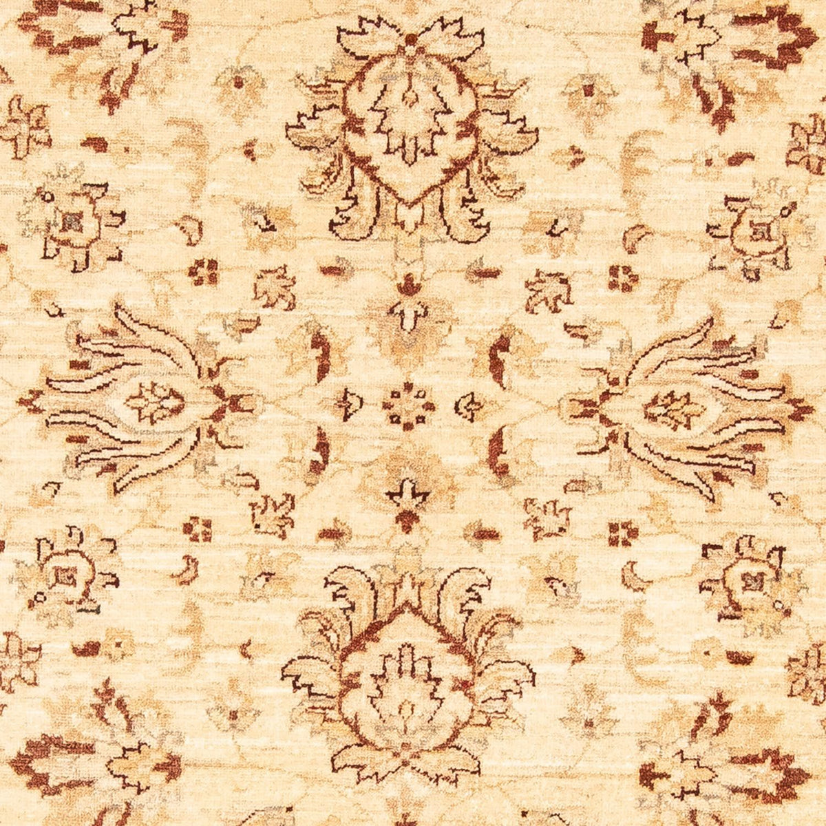 Tapis Ziegler - 180 x 124 cm - beige