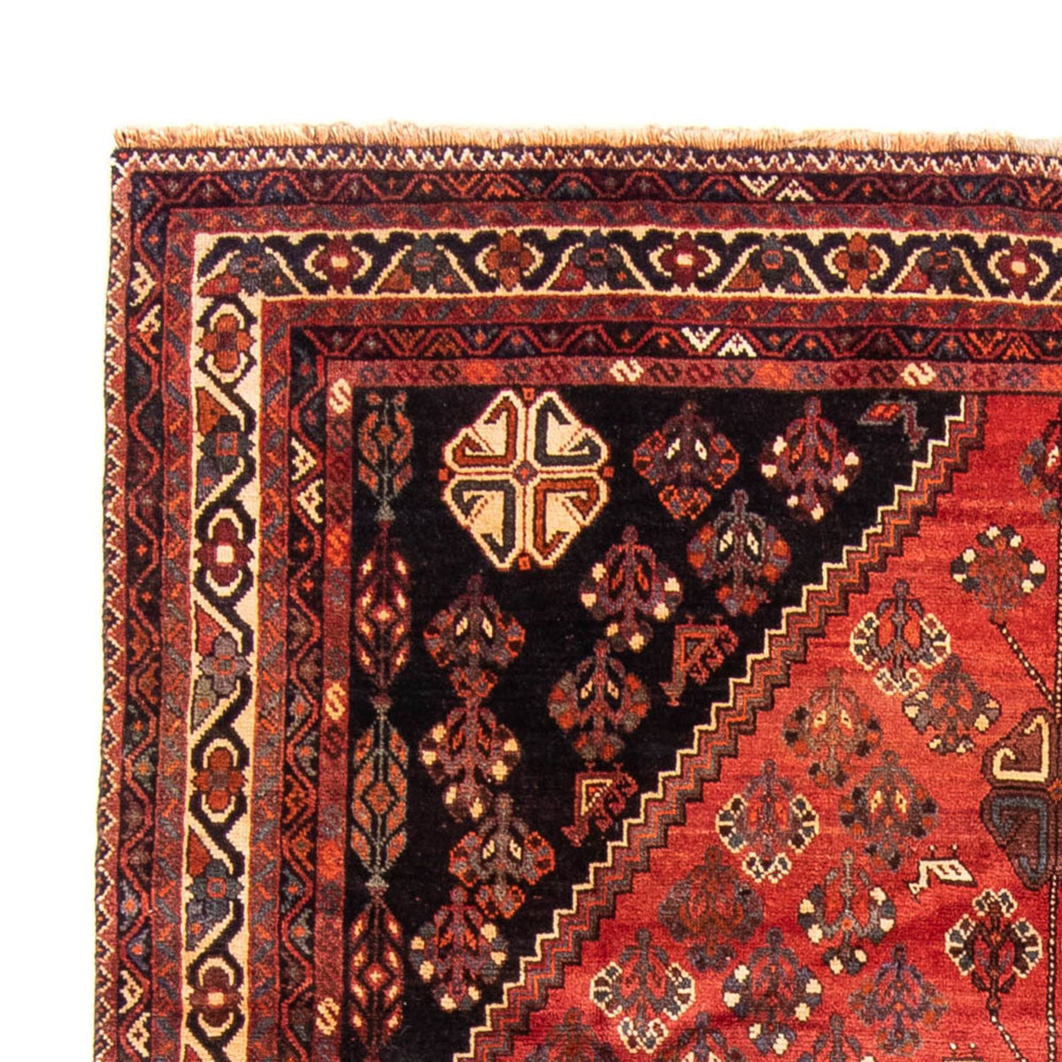 Tapis de Chiraz Tapis 235x323cm - Tapis persan