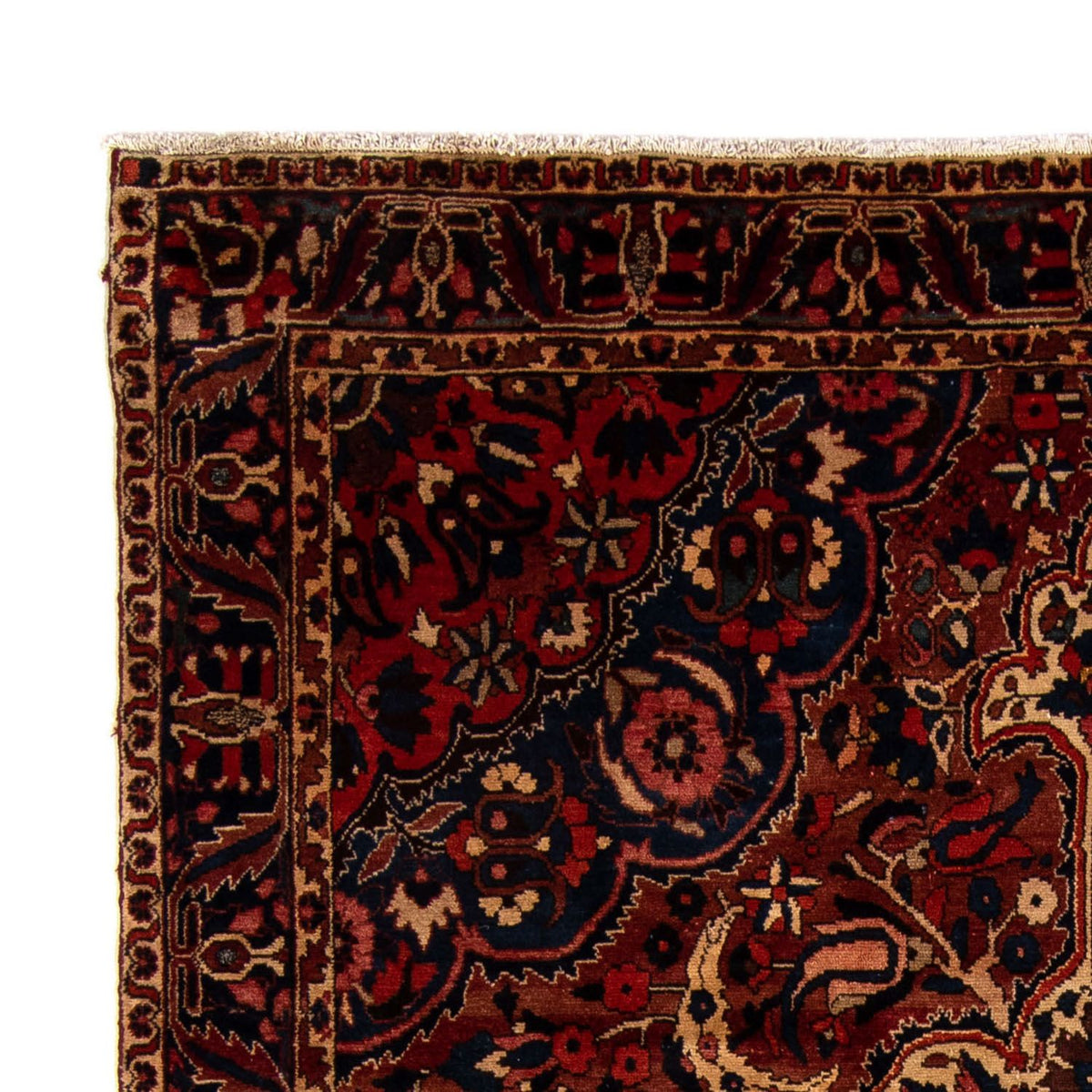 Tapis persan - Nomadic - 342 x 224 cm - marron