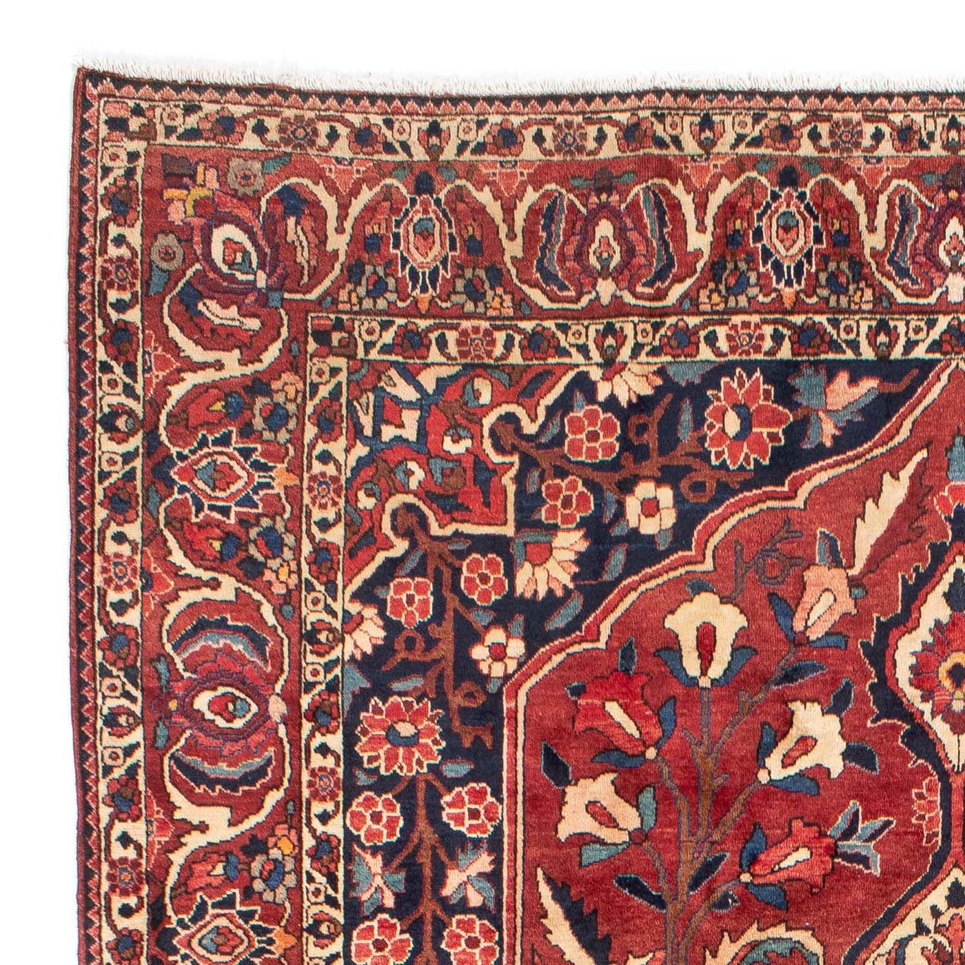 Tapis Bakhtiari Tapis 333x212cm - Tapis persan