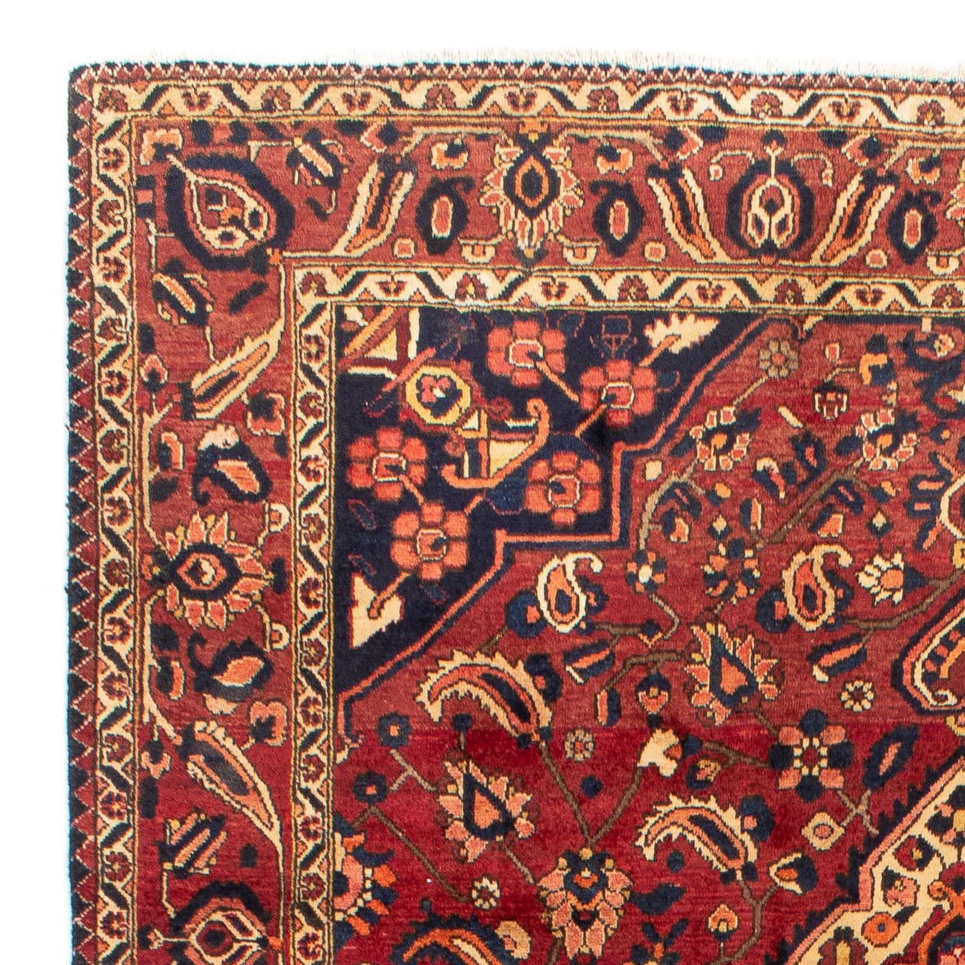 Tapis Bakhtiari Tapis 318x211cm - Tapis persan