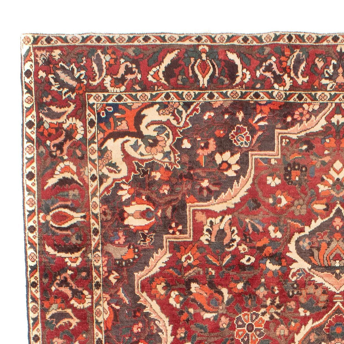 Tapis Bakhtiari Tapis 294x205cm - Tapis persan