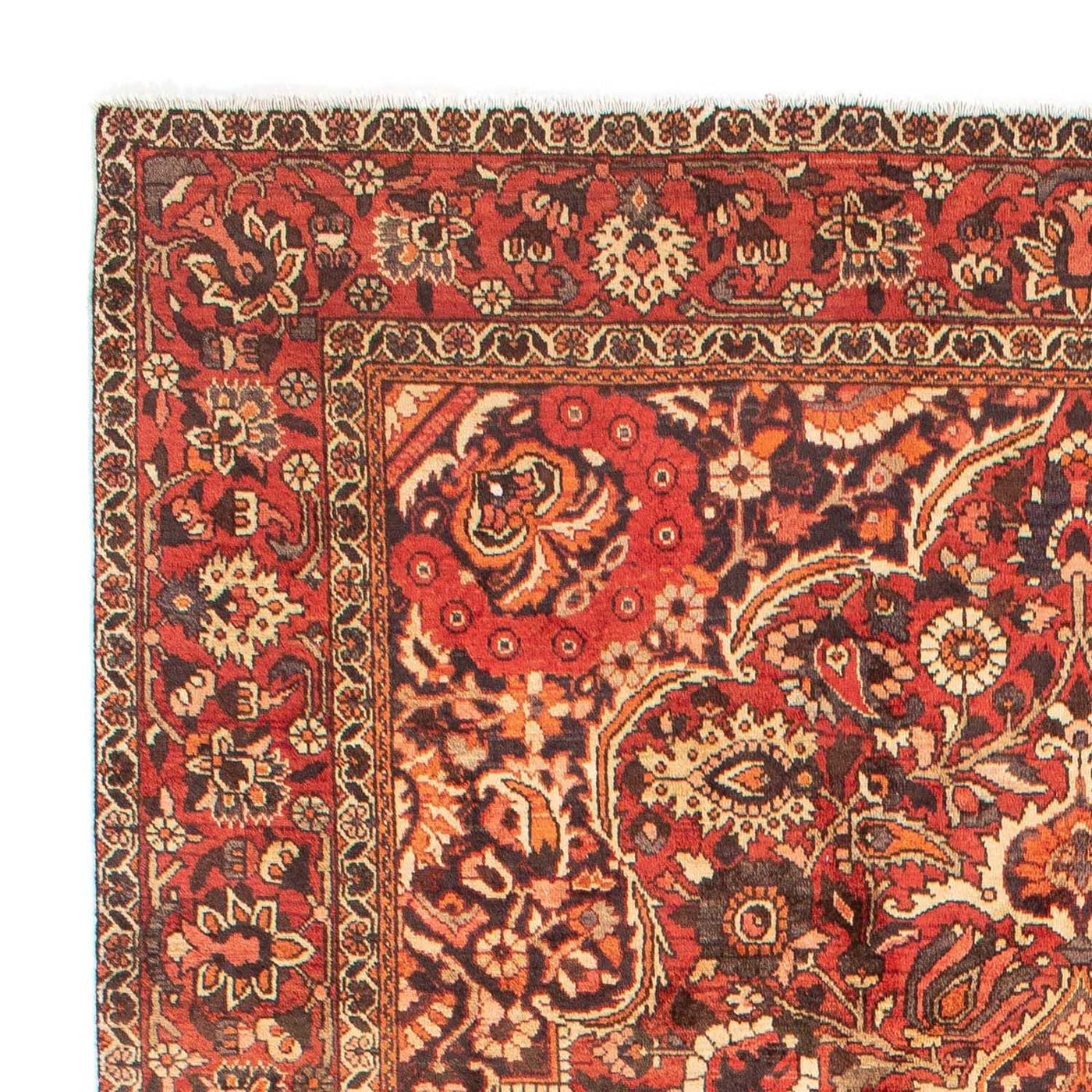 Tapis Bakhtiari Tapis 297x224cm - Tapis persan