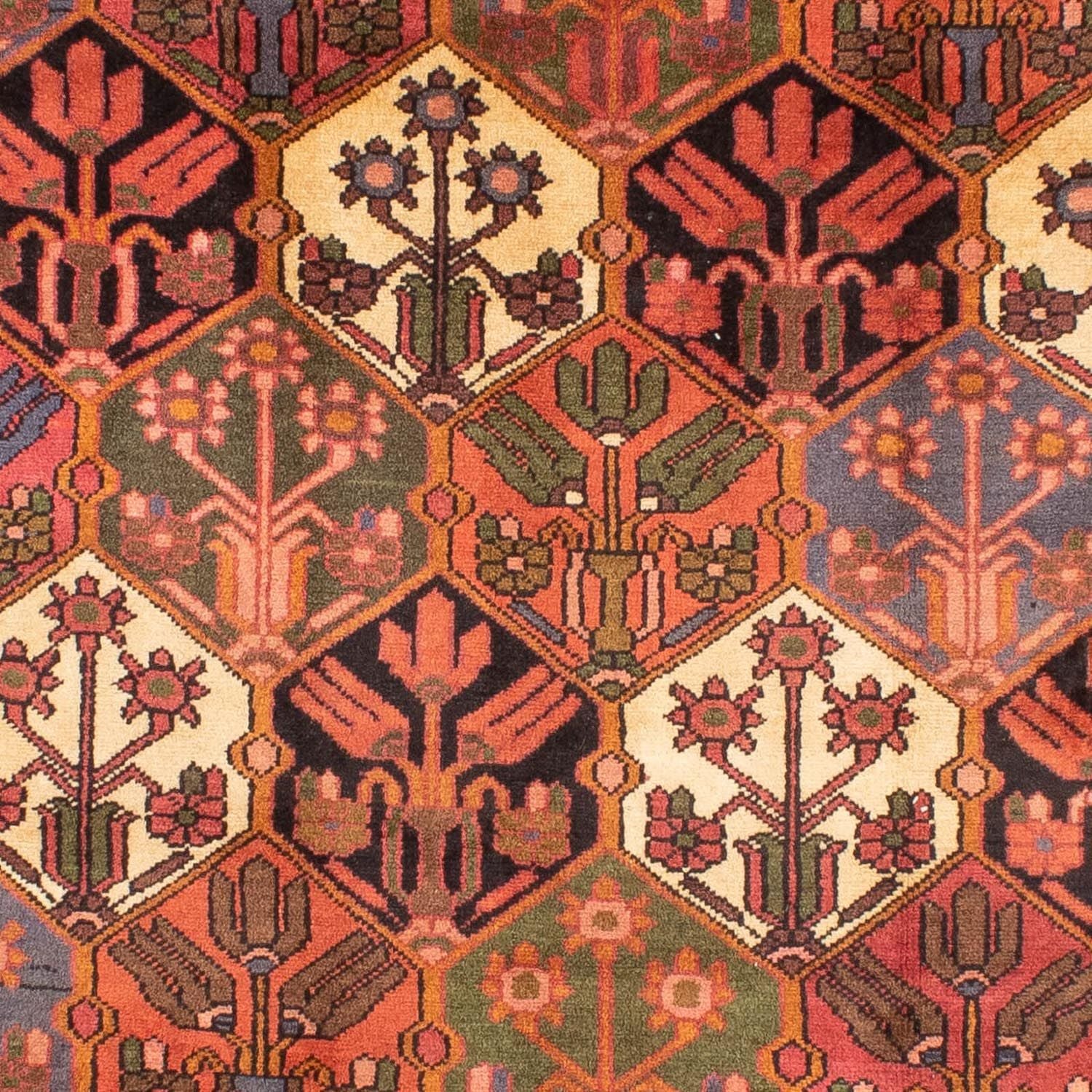 Tapis persan - Nomadic - 297 x 205 cm - marron