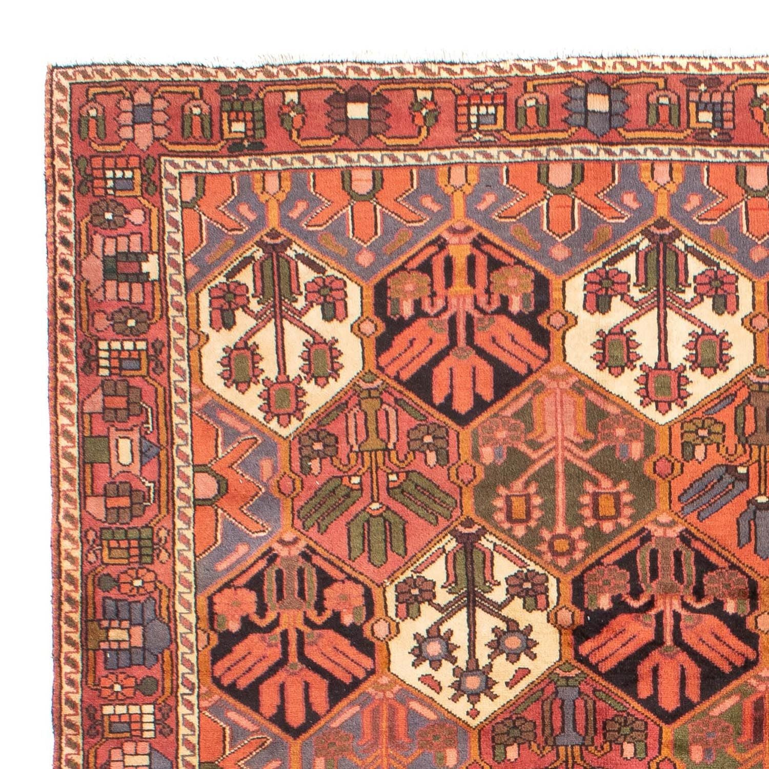 Tapis persan - Nomadic - 297 x 205 cm - marron