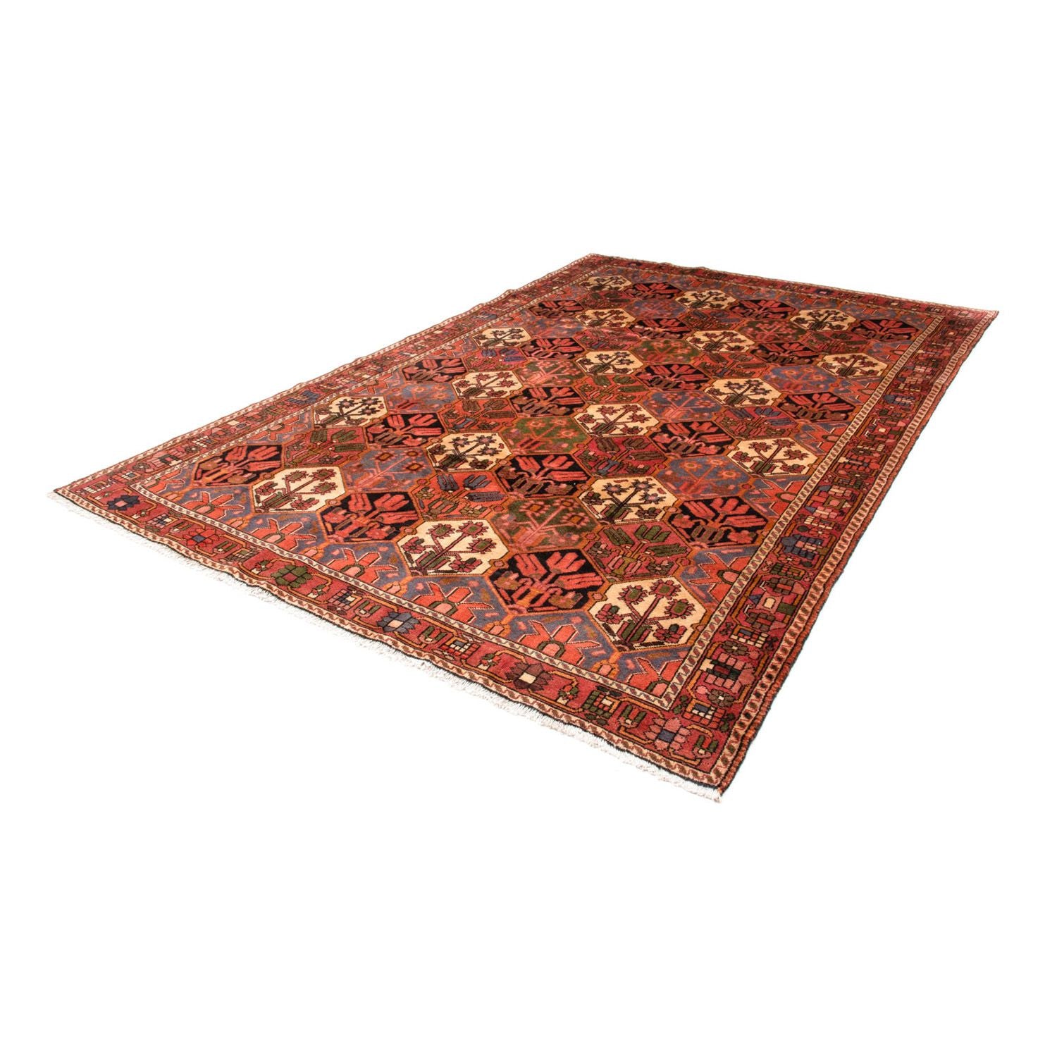 Tapis persan - Nomadic - 297 x 205 cm - marron