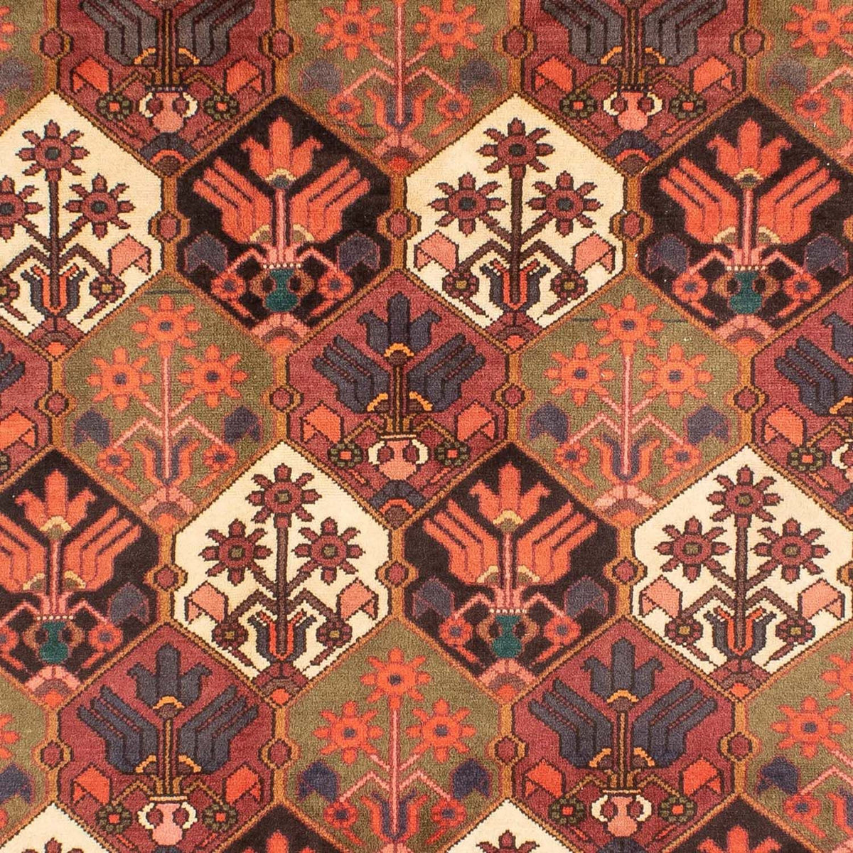 Tapis persan - Nomadic - 287 x 207 cm - marron