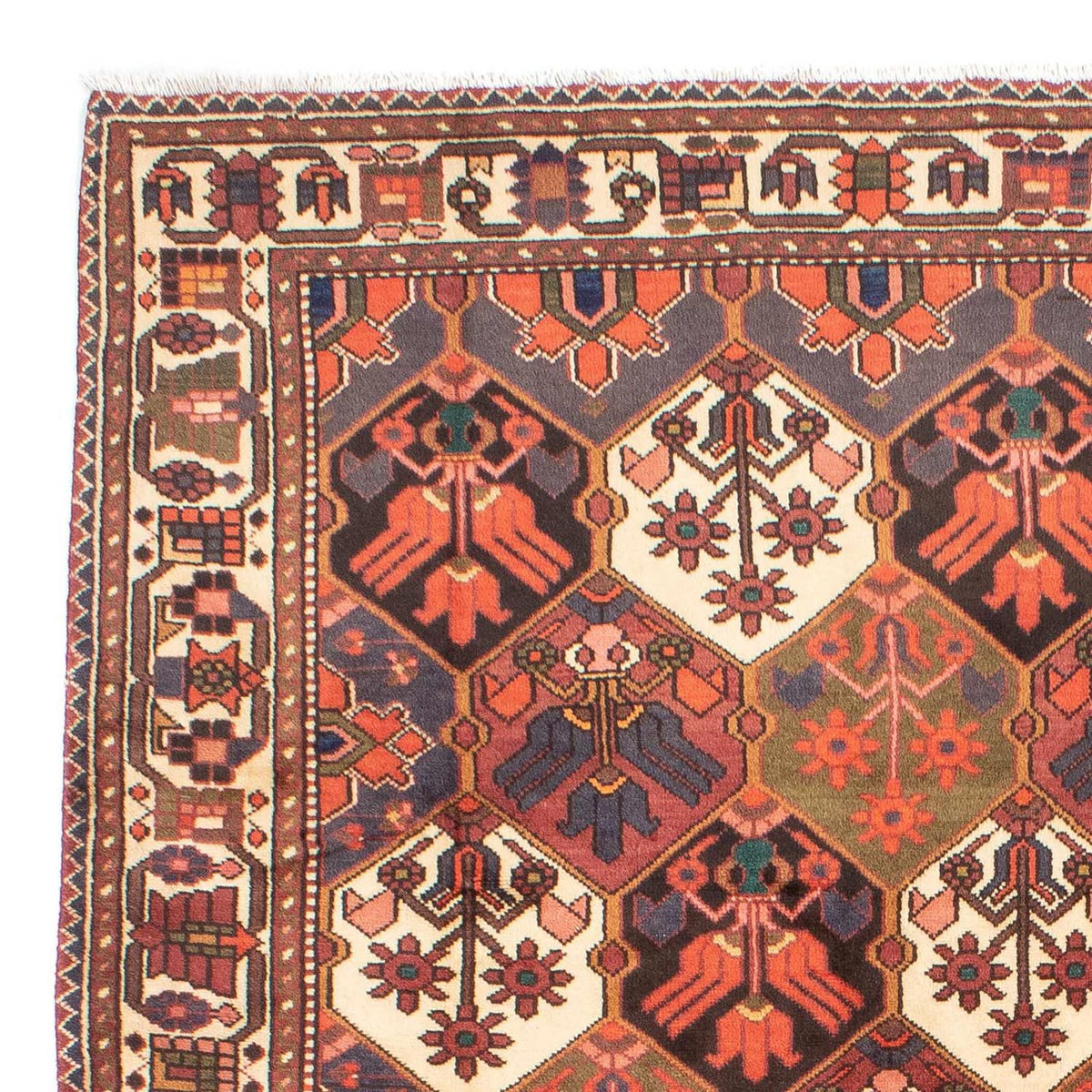 Tapis persan - Nomadic - 287 x 207 cm - marron
