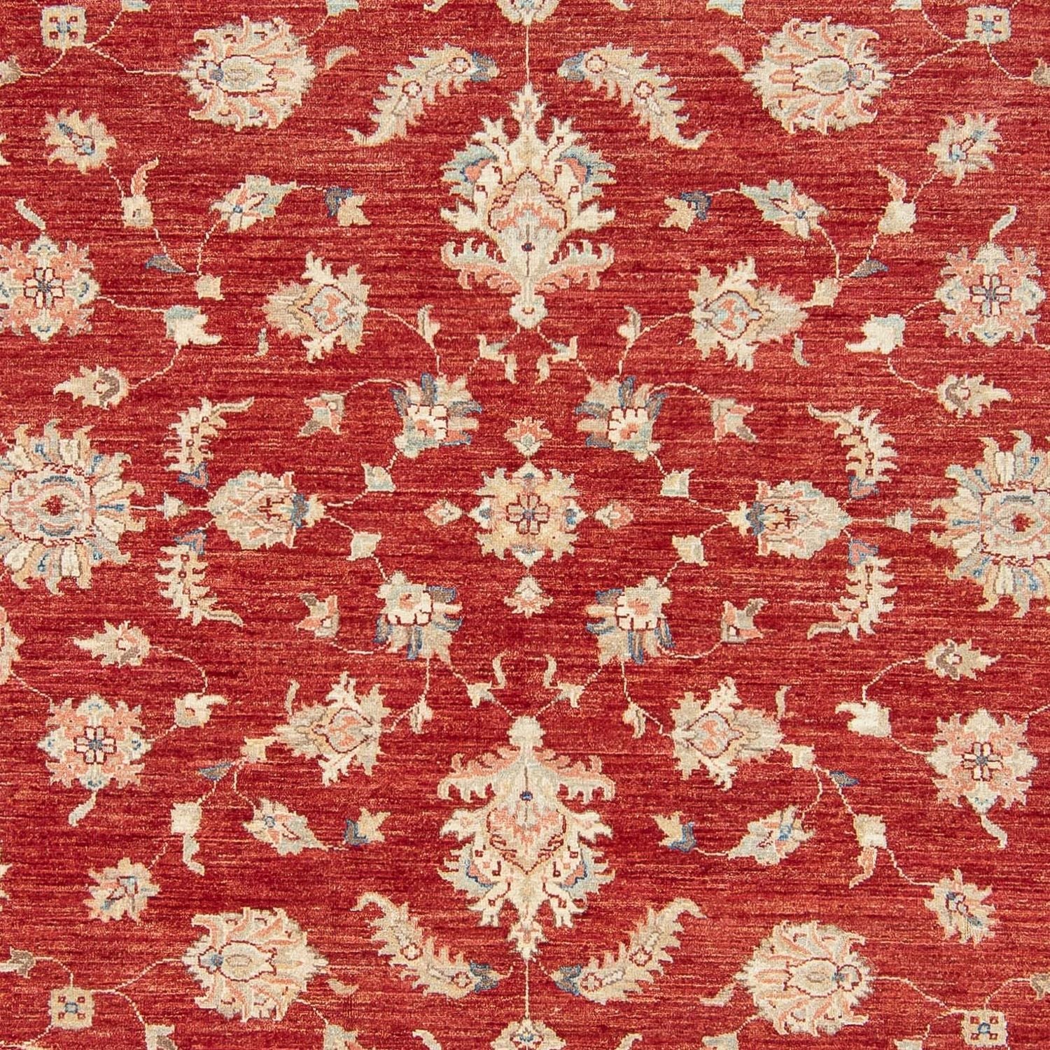 Tapis Ziegler - 295 x 250 cm - rouge foncé