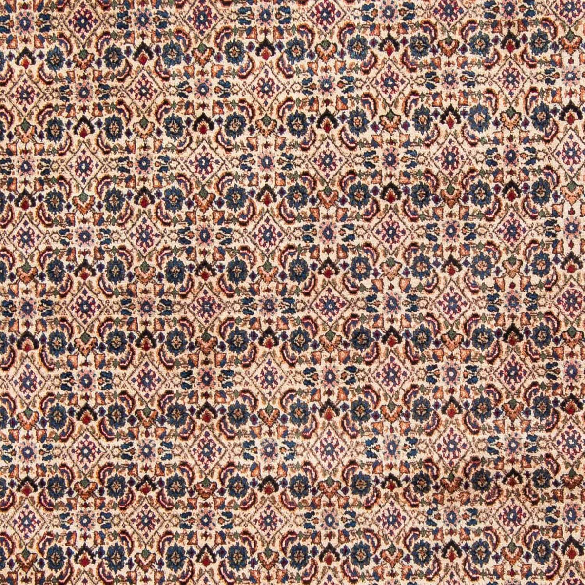 Tapis persan - Classique - 302 x 209 cm - beige