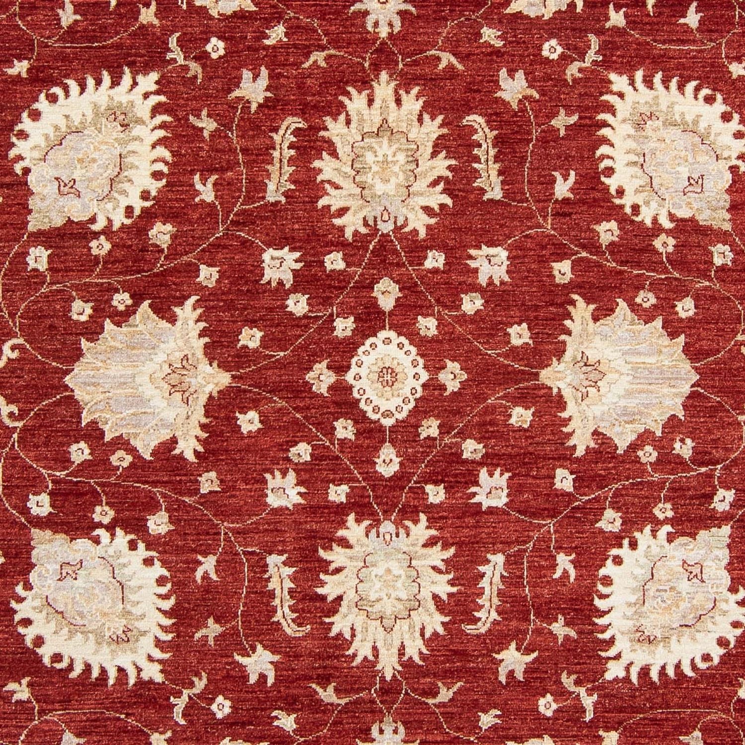 Tapis Ziegler - 298 x 240 cm - rouge foncé