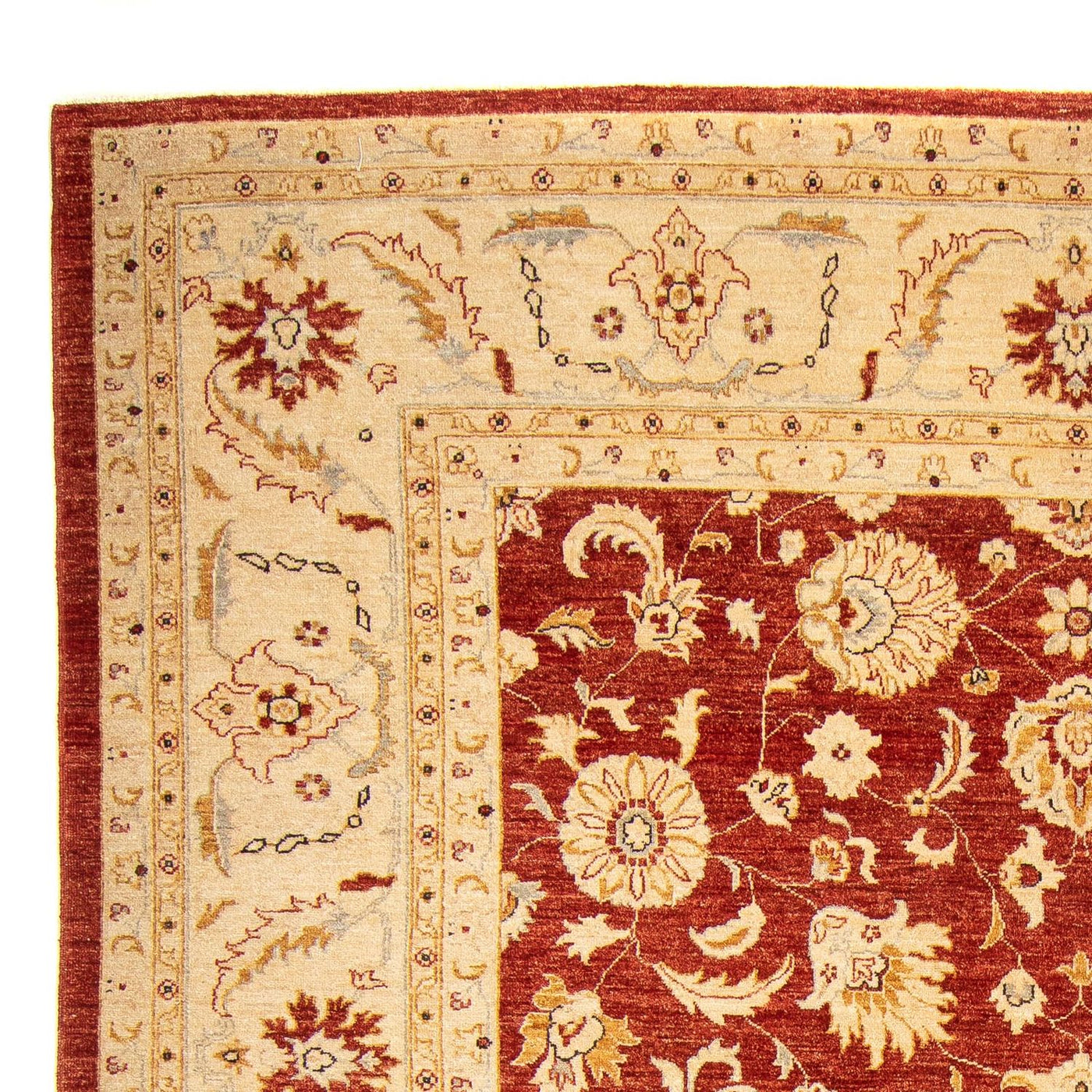 Tapis Ziegler 350x277cm - Tapis oriental