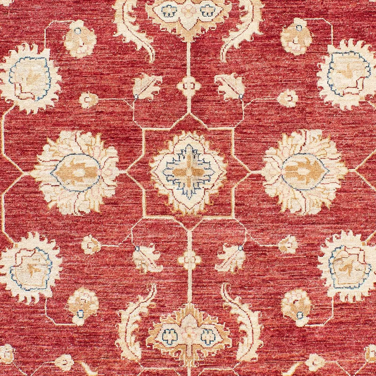Tapis Ziegler - 237 x 169 cm - rouge foncé