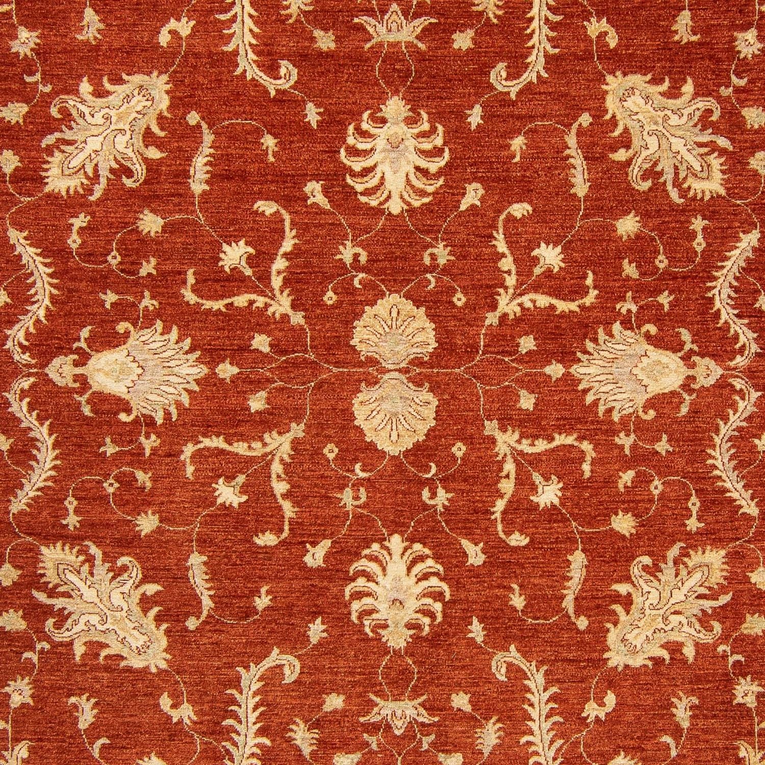 Tapis Ziegler - 350 x 254 cm - rouge foncé
