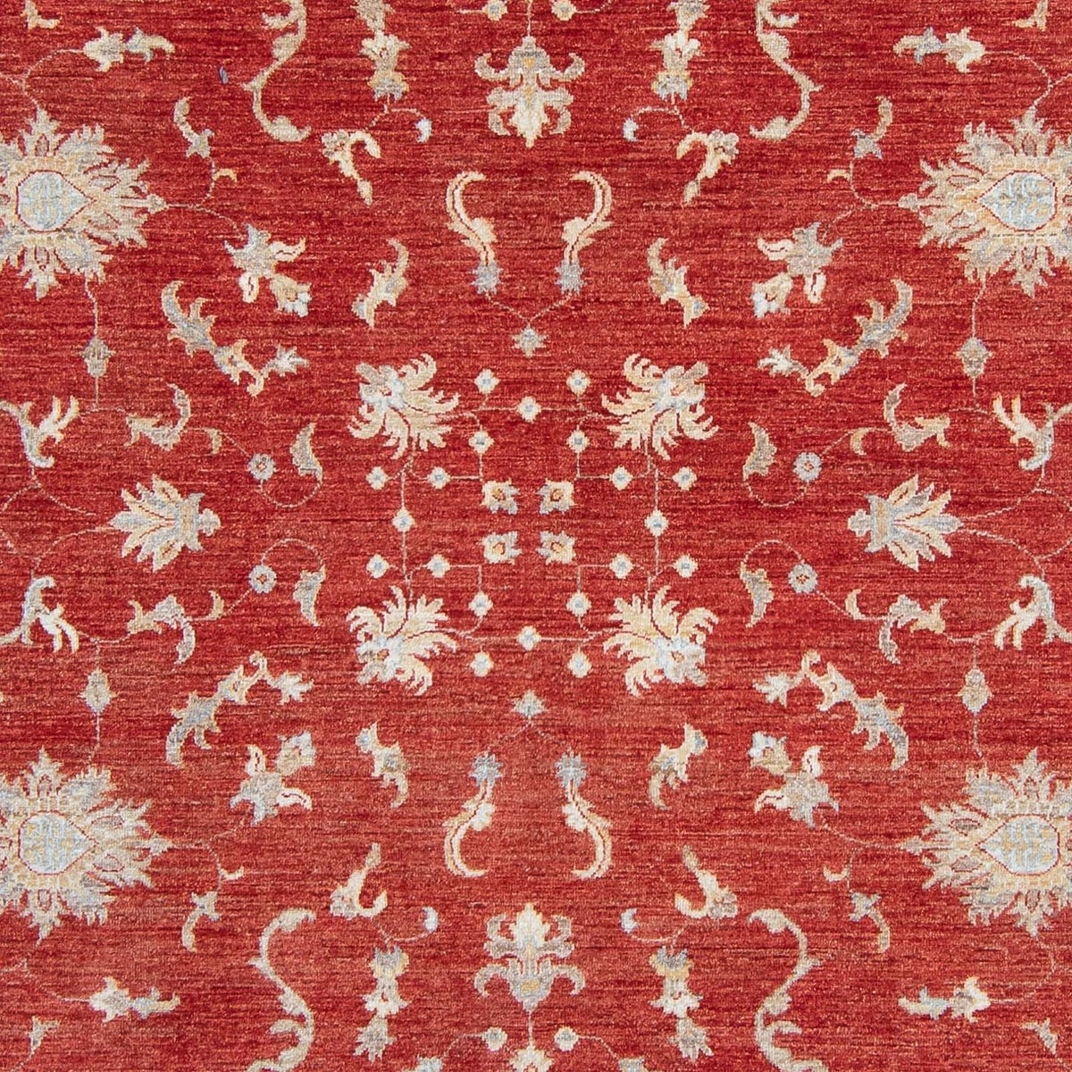 Tapis Ziegler - 292 x 242 cm - rouge