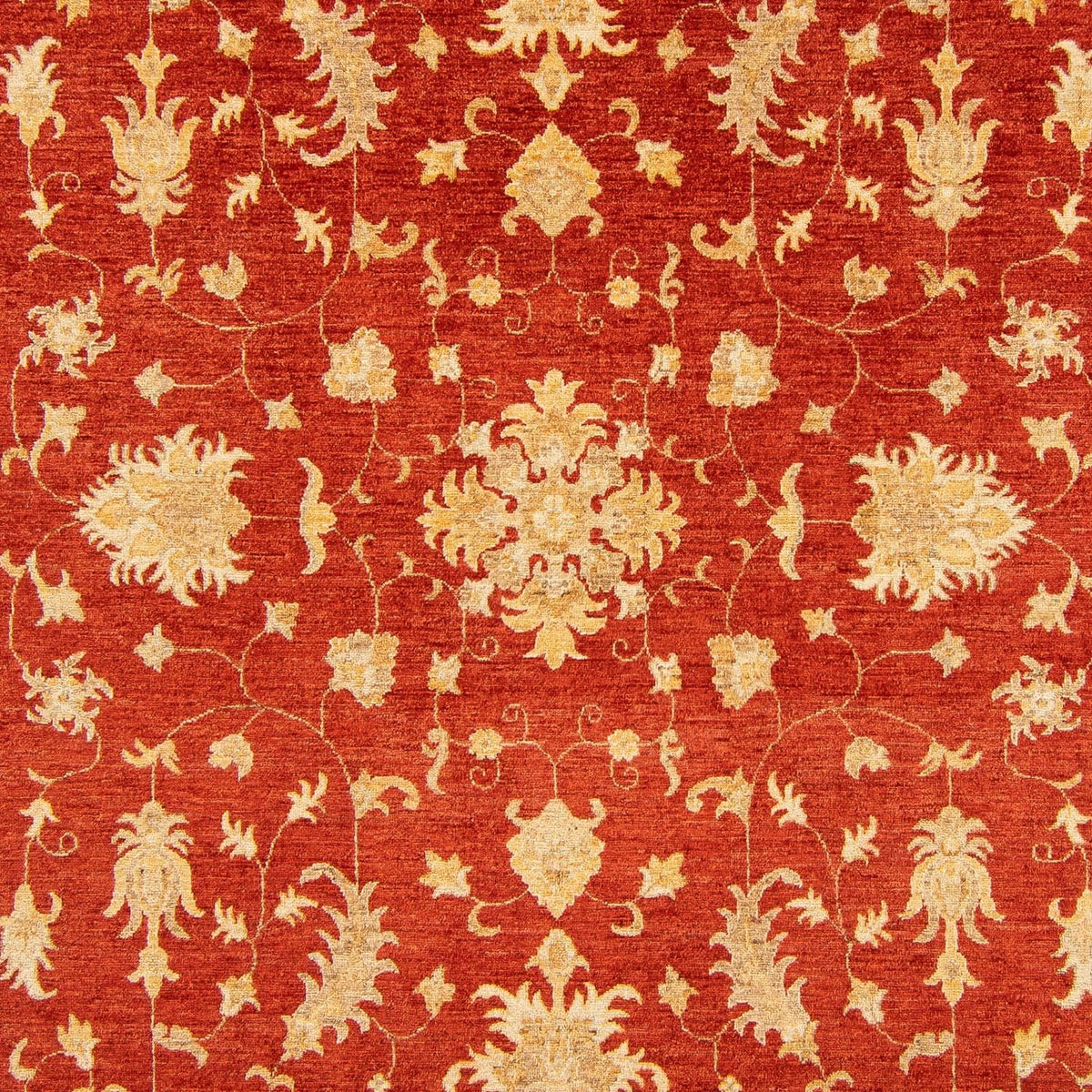 Tapis Ziegler - 346 x 243 cm - rouge