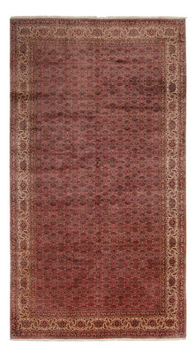 Tapis persan - Bidjar - 482 x 256 cm - marron