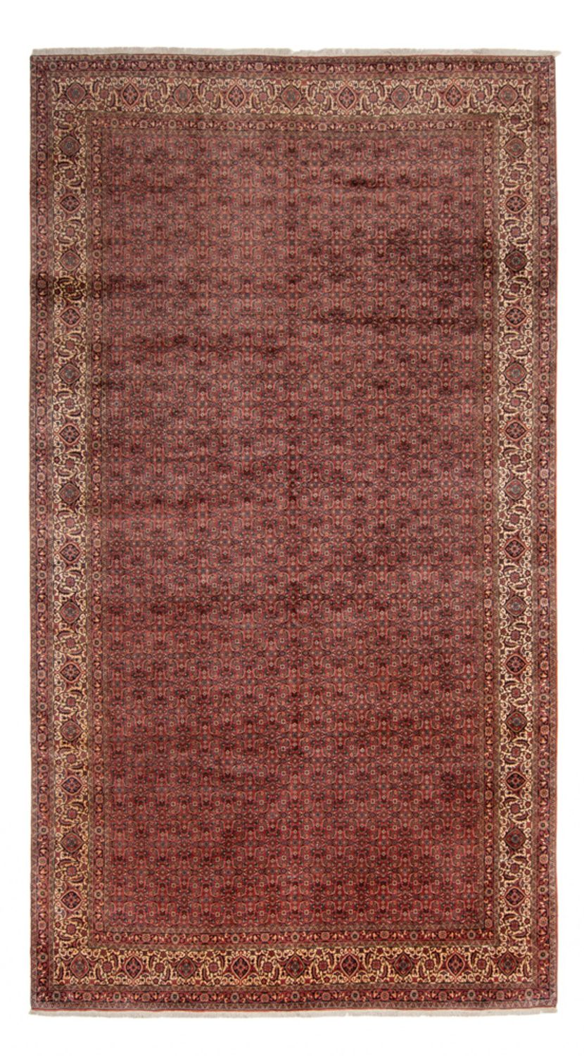 Tapis persan - Bidjar - 482 x 256 cm - marron
