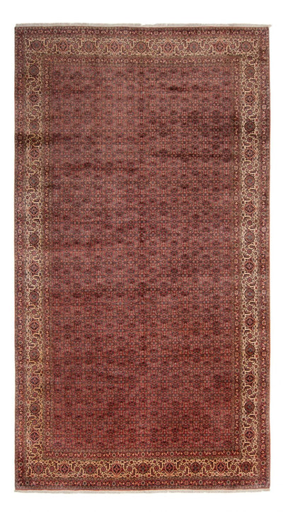 Bidjar - Takab Tapis 256x482cm - Tapis persan - marron