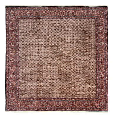 Tapis persan - Bidjar carré  - 366 x 348 cm - beige