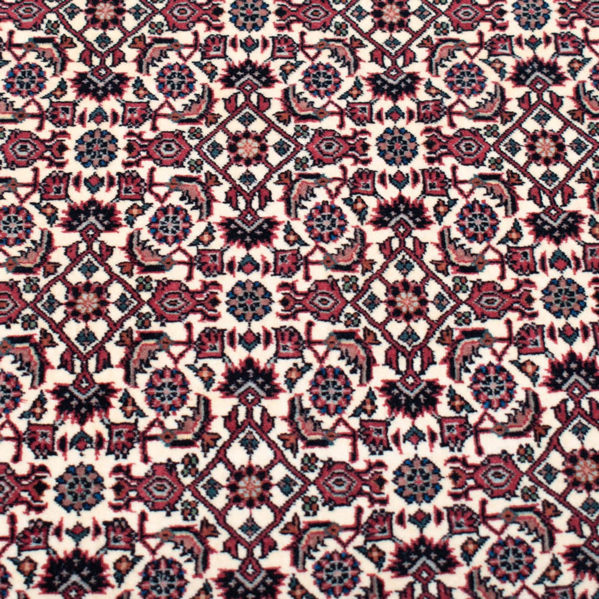 Tapis persan - Bidjar carré  - 366 x 348 cm - beige