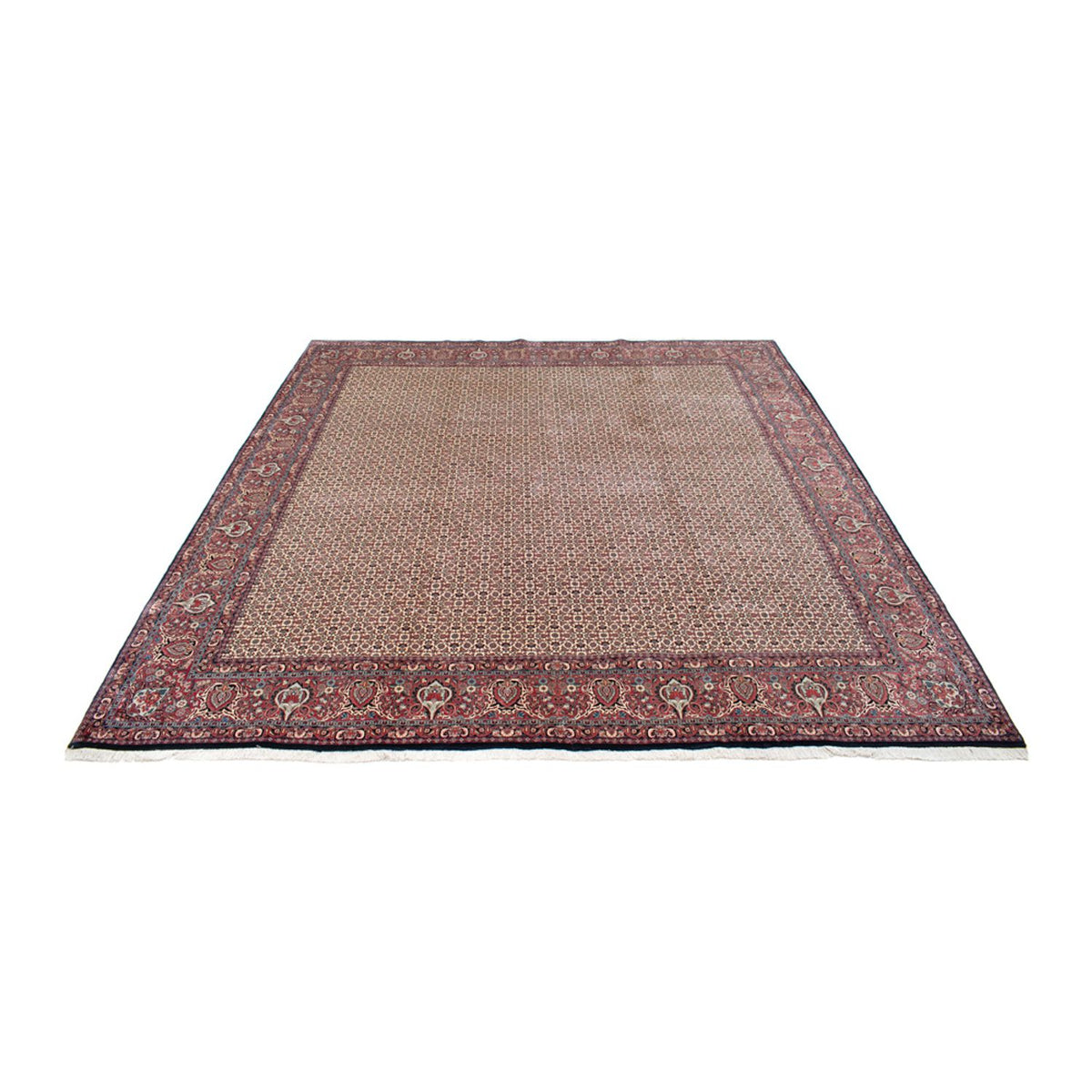 Tapis persan - Bidjar carré  - 366 x 348 cm - beige