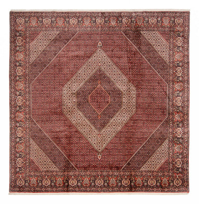 Tapis persan - Bidjar carré  - 359 x 355 cm - marron