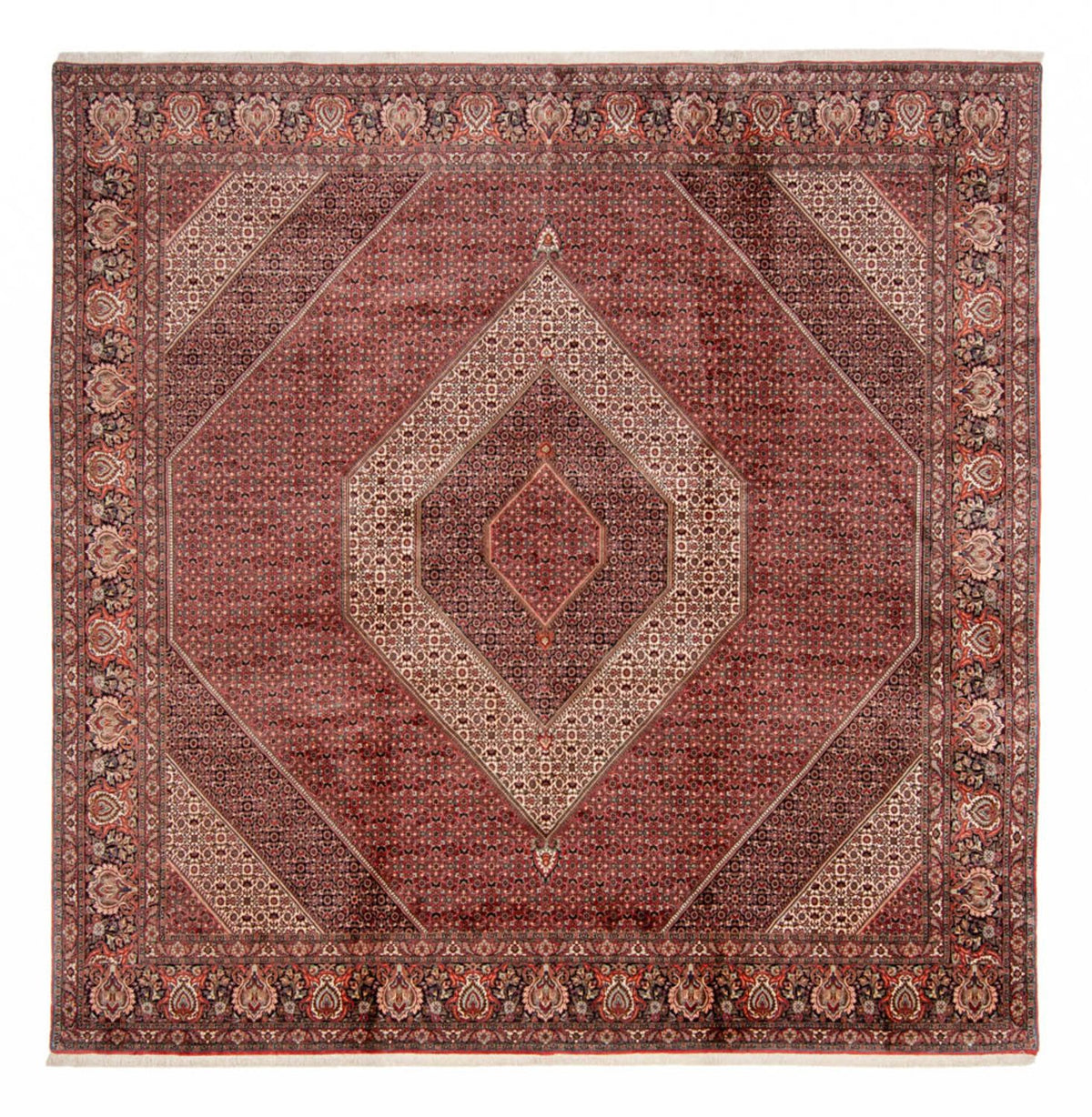 Tapis persan - Bidjar carré  - 359 x 355 cm - marron