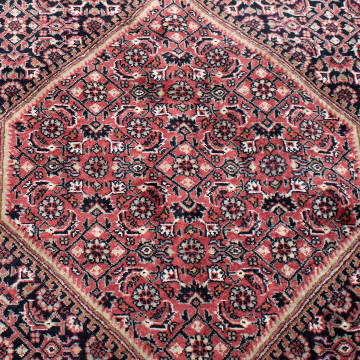 Tapis persan - Bidjar carré  - 359 x 355 cm - marron