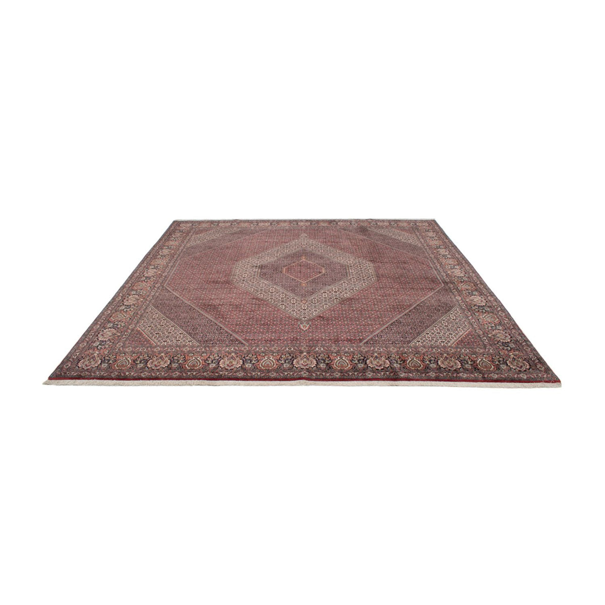 Tapis persan - Bidjar carré  - 359 x 355 cm - marron