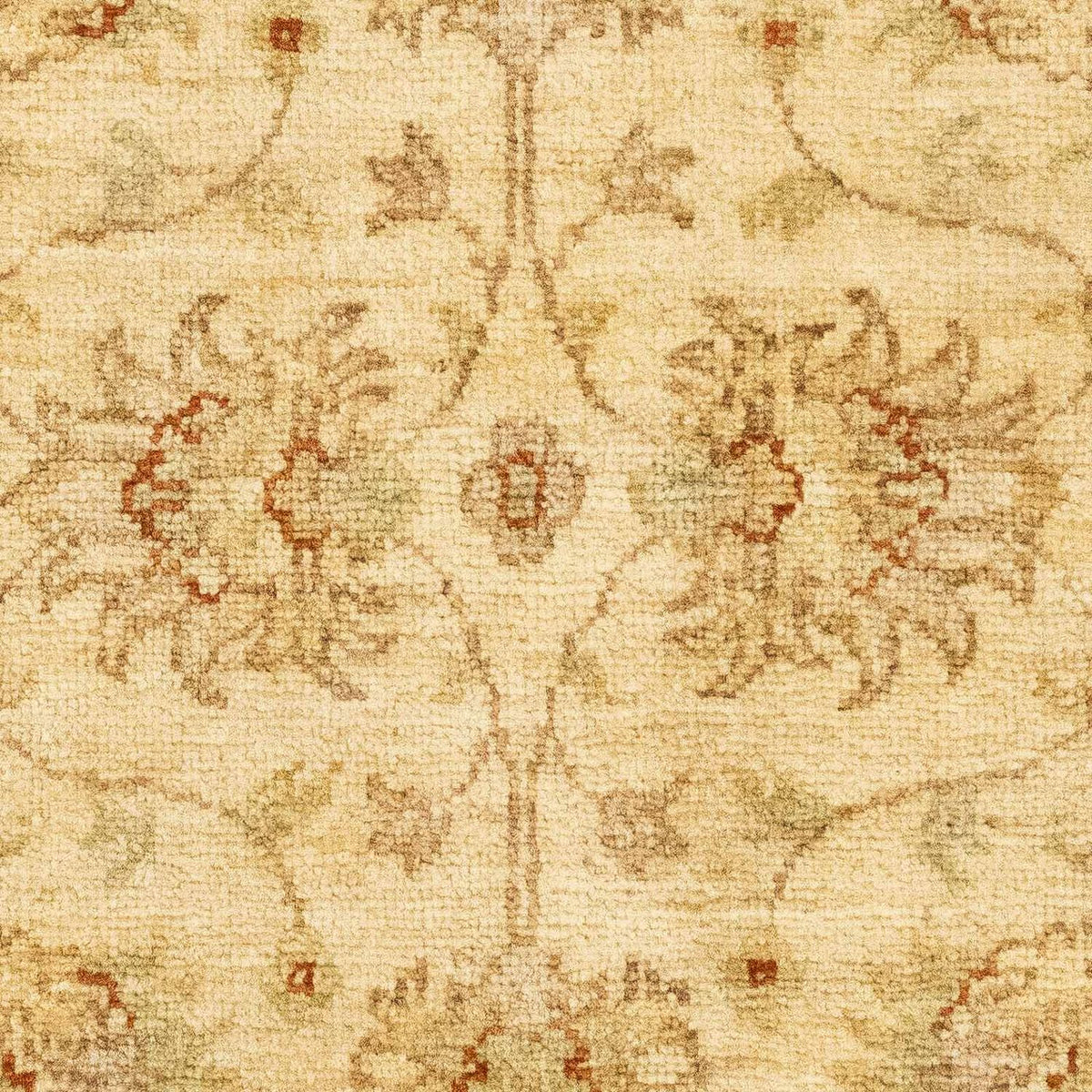 Tapis Ziegler - 90 x 60 cm - beige