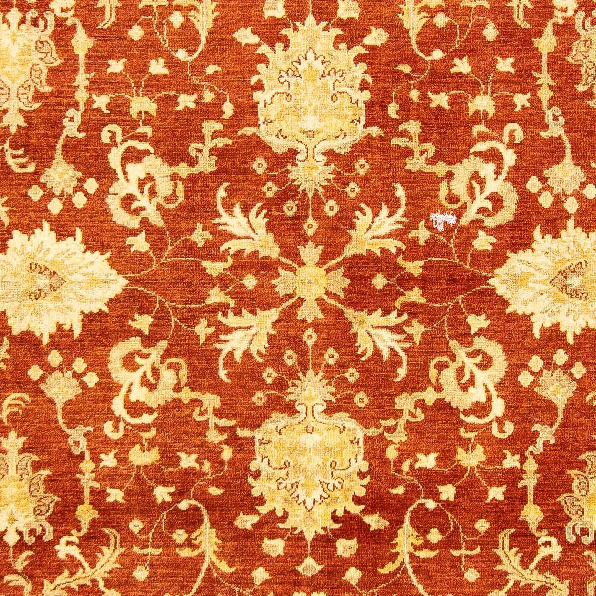 Tapis Ziegler - 251 x 198 cm - rouge foncé