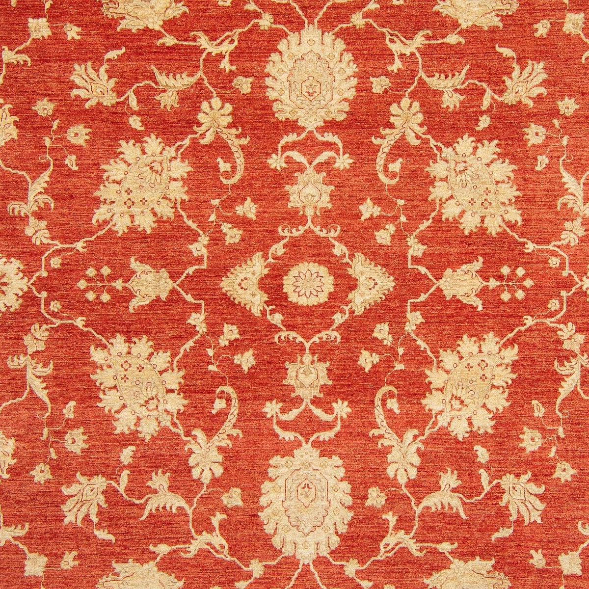 Tapis Ziegler - Kazak - 363 x 276 cm - rouge