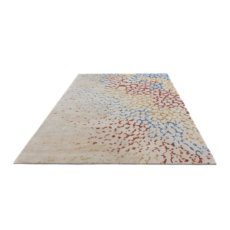 Tapis design - 236 x 165 cm - multicolore