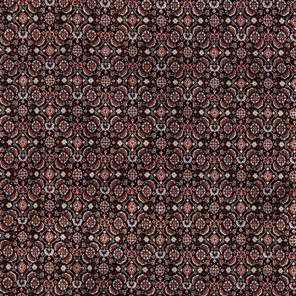 Tapis persan - Classique - 300 x 200 cm - noir