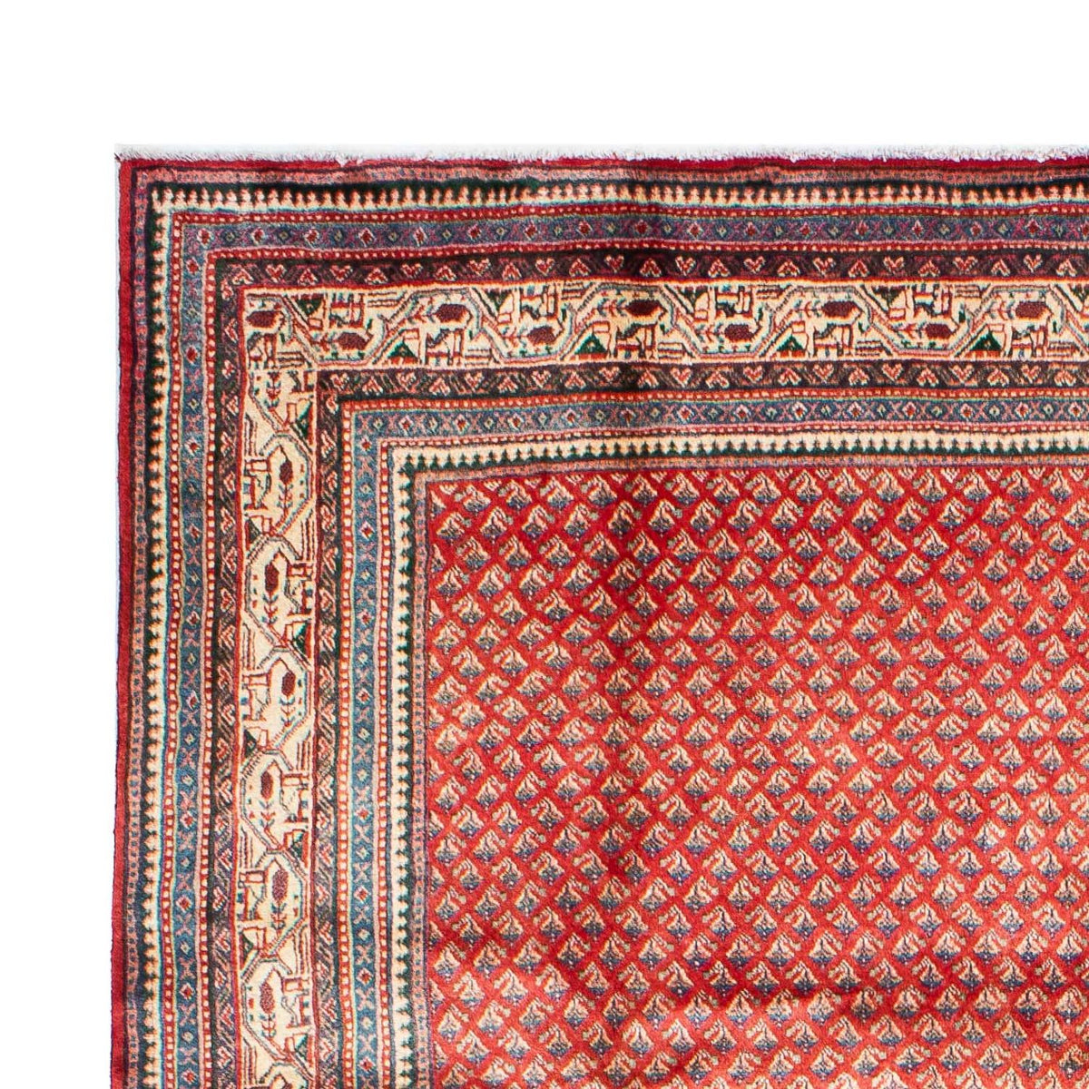 Tapis de Mir Tapis 211x308cm - Tapis persan