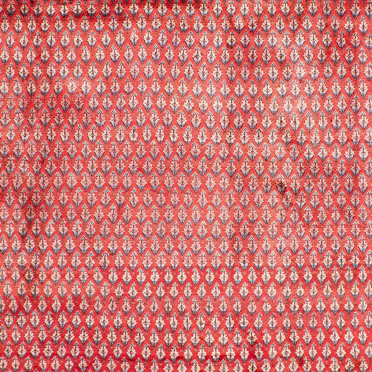 Tapis persan - Mir - 317 x 219 cm - rouge